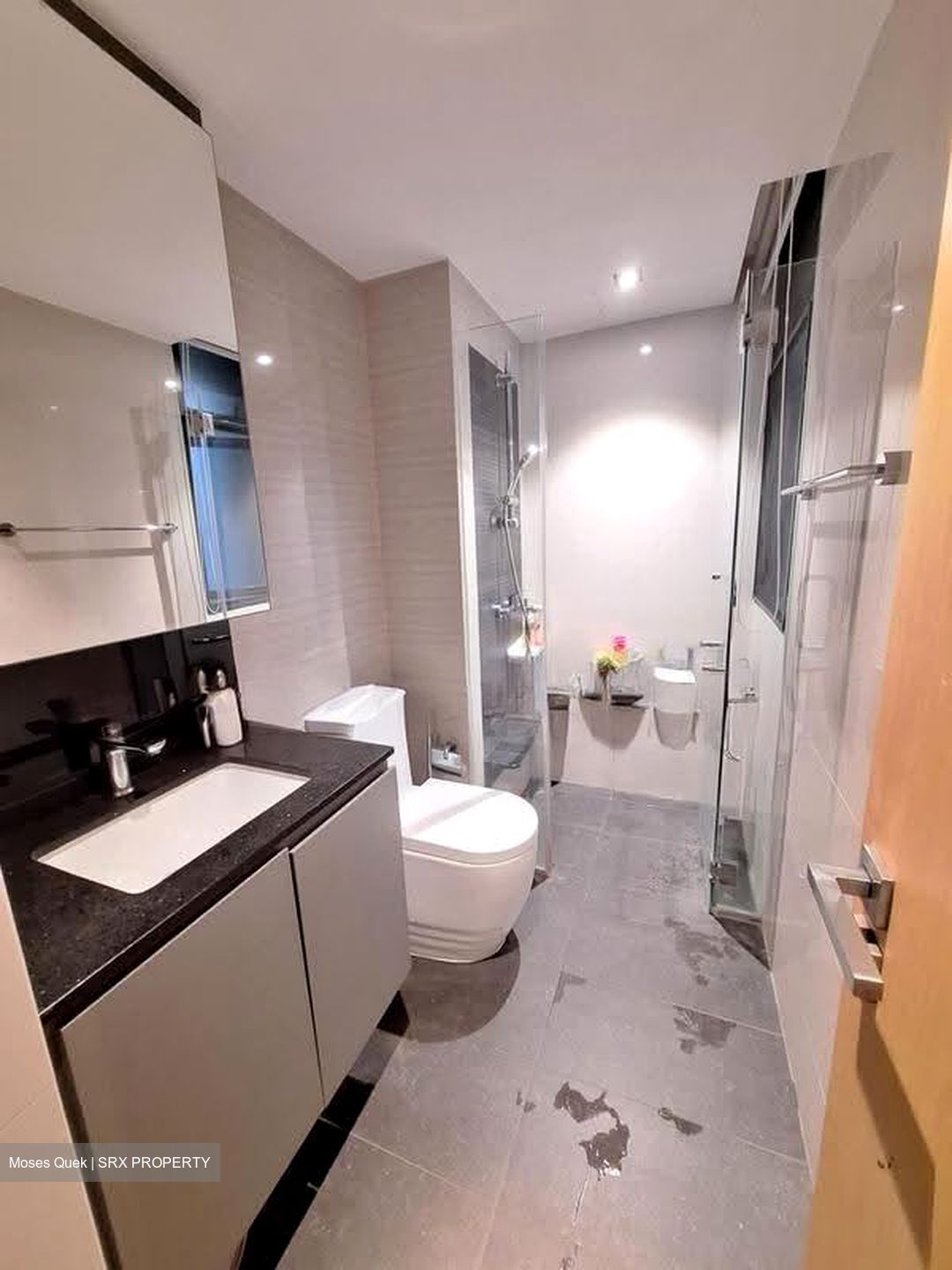 Blossom Residences (D23), Condominium #625327221